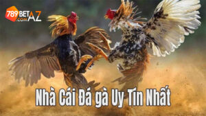 Nhà cái uy tín mang đến cho người chơi rất nhiều lợi ích khi tham gia cá cược